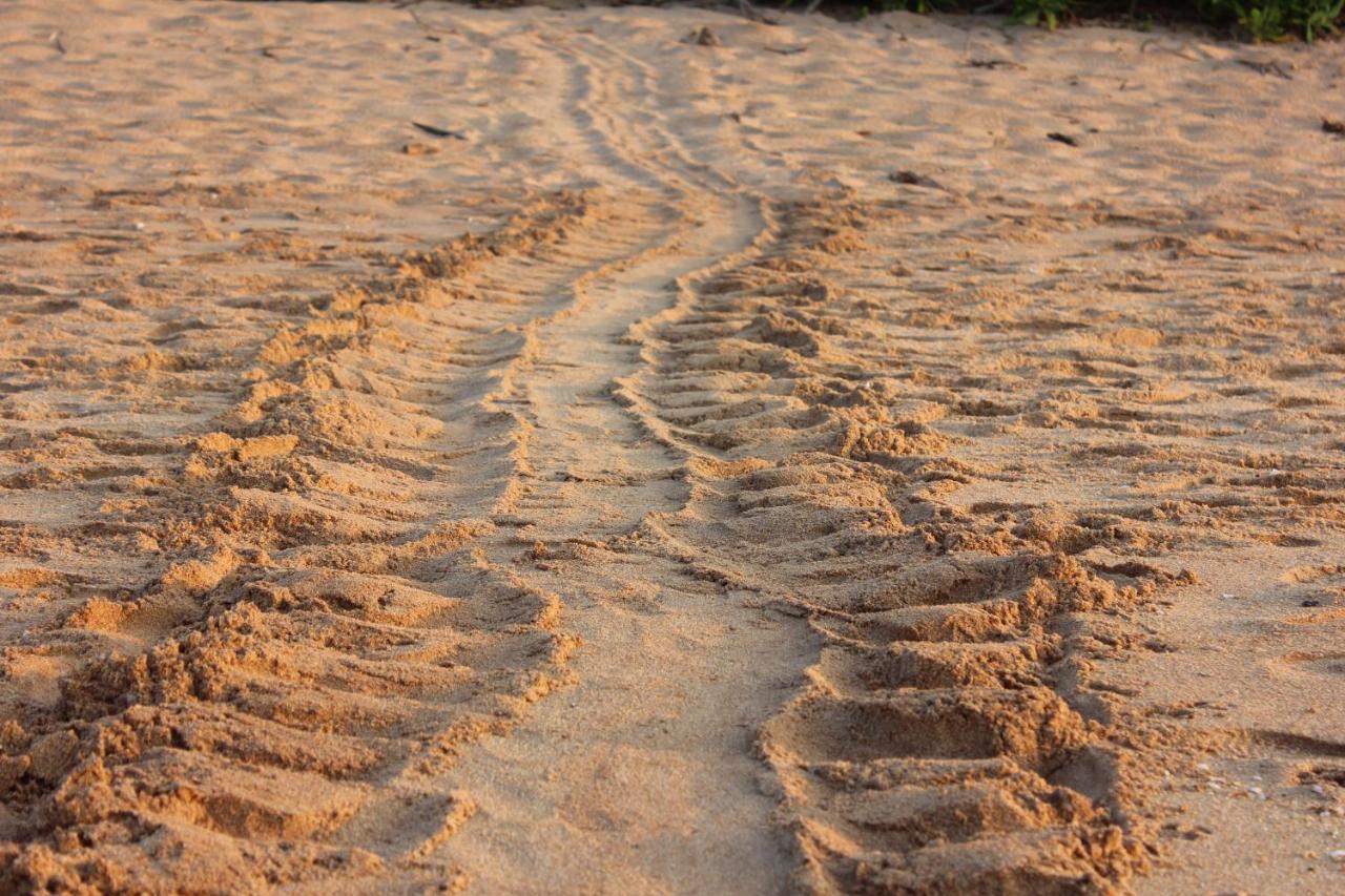 Sati Villa Rekawa Beach Sri Lanka تانجالي المظهر الخارجي الصورة